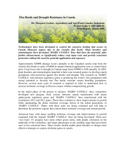 Flea Beetle and Drought Resistance in Canola