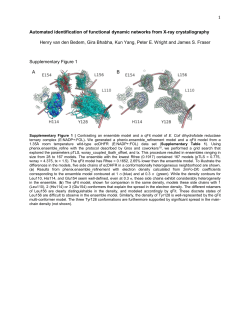 Automated identification of functional dynamic networks from X