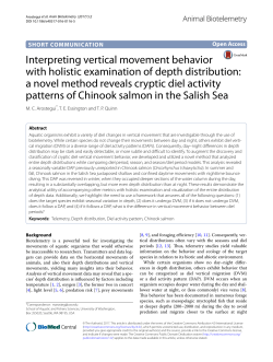 Interpreting vertical movement behavior with holistic examination of