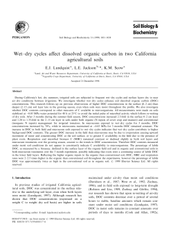 Wet±dry cycles affect dissolved organic carbon in two California