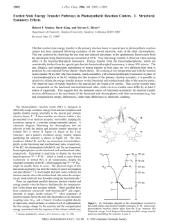 Excited State Energy Transfer Pathways in