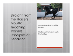 Straight From the Horse`s Mouth: Teaching Trainers Principles of