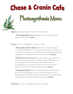 Photosynthesis Menu Project Description