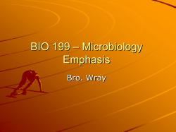 BIO 199