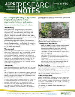 Soil salvage depth is key to aspen root fragment survival and