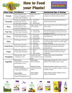 Annuals Perennials Roses Fruit Trees Citrus Palms Grapes