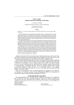 Adhesion Molecules in Biology and Oncology