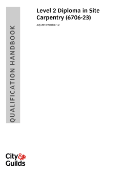 Level 2 Diplomas in Site Carpentry and Bench