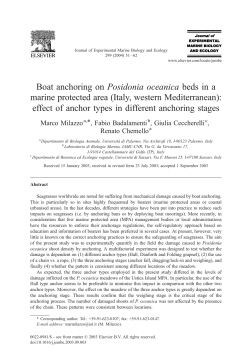 Boat anchoring on Posidonia oceanica beds in a marine protected