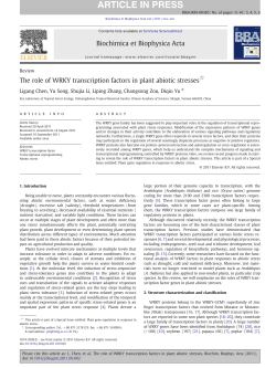 The role of WRKY transcription factors in plant abiotic stresses