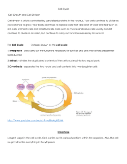 Cell Cycle Cell Growth and Cell Division Cell division is strictly