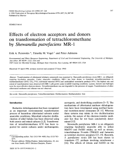 Effects of electron acceptors and donors on transformation of