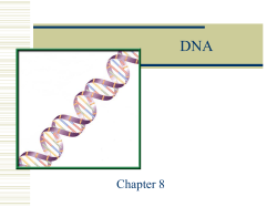 DNA - Brewton City Schools