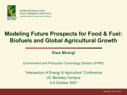 Global Change Impacts on Water and Food Security Economic