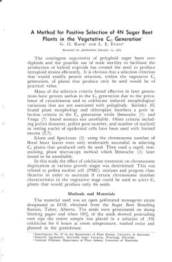A Method for Positive Selection of 4N Sugar Beet Plants in the