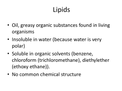 Lipids - selu moodle