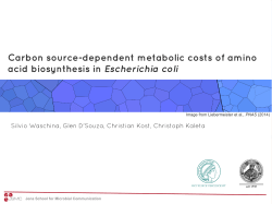 Carbon source-dependent metabolic costs of amino acid