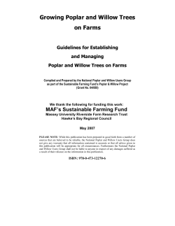 Growing Poplar and Willow Trees on Farms