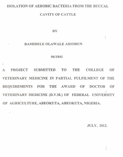 isolation of aerobic bacteria from the buccal cavity of cattle by