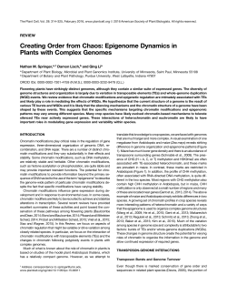Creating Order from Chaos: Epigenome Dynamics in