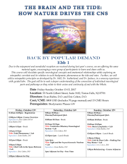 Brain and Tide Agenda October 2017