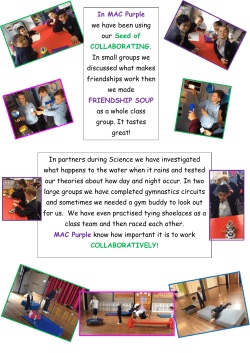 In partners during Science we have investigated what happens to