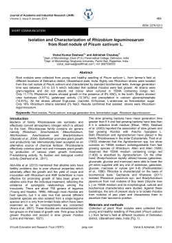 Isolation and Characterization of Rhizobium leguminosarum from