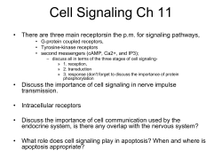 Cell Signaling Ch 11