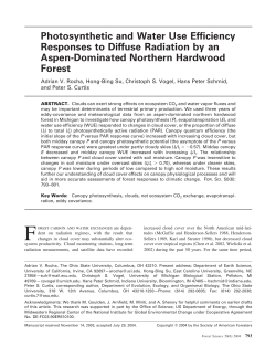 Photosynthetic and Water Use Efficiency Responses to Diffuse