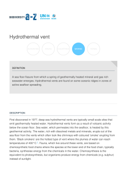 Hydrothermal vent