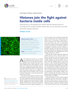 Antibacterial Response: Histones join the fight against bacteria