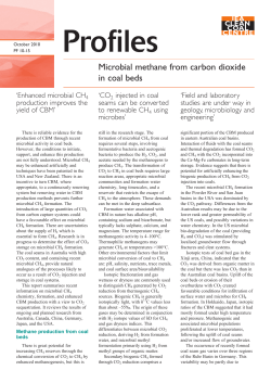 Microbial methane from carbon dioxide in coal beds