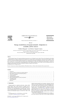 Energy metabolism of trypanosomatids