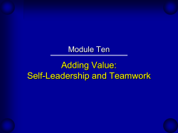Module 10 Adding Value: Self