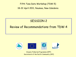 (P2) Progress With TDW-4 Recommendations