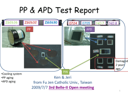 ppt - Belle II