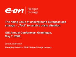 EFS Customer Satisfaction - Gas Infrastructure Europe