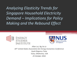 Energy Security in Singapore
