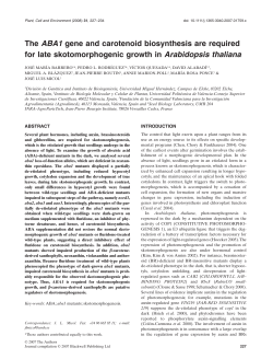 The ABA1 gene and carotenoid biosynthesis are required for late