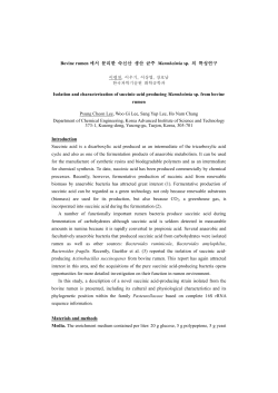 Environmental and physiological factors in succinic acid production