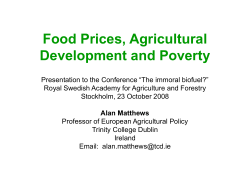 Matthews Food prices and poverty