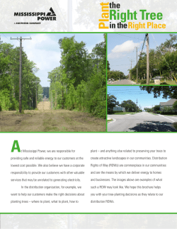 Plant Right Tree - Mississippi Power