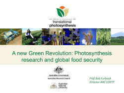 Photosynthesis research and global food security