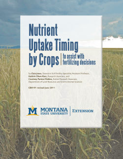 Nutrient Uptake Timing by - Montana State University Extension