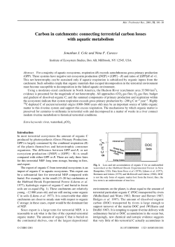 Carbon in catchments: connecting terrestrial carbon losses with