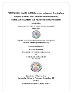 SCREENING OF MARINE ALGAE (Sargassum polycystum