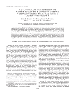 a qtl controlling stem morphology and vascular