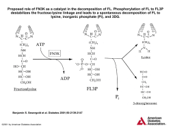 powerpoint - American Diabetes Association