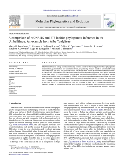 A comparison of nrDNA ITS and ETS loci for