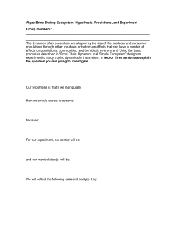Algae-Brine Shrimp Ecosystem worksheet